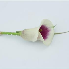 fwthumbPurple Calla Lily Buttonhole.jpg